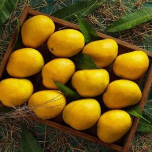 Alphonso