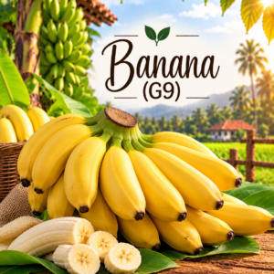 G9 Banana