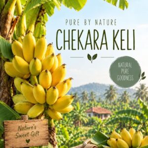 Chekara Keli Bananas